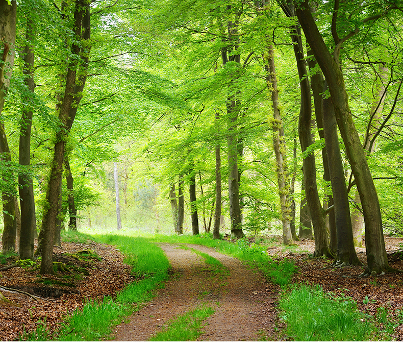 美國?？?_02_02